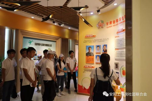 絲路新世界 青春中國(guó)夢(mèng) 張掖科技中介服務(wù)調(diào)研實(shí)踐報(bào)告