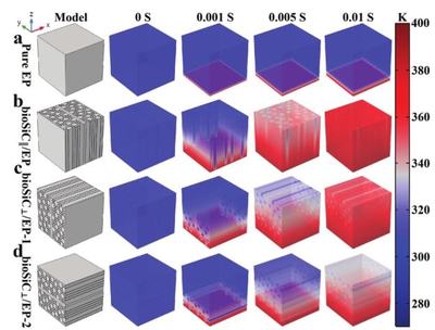 西安交大楊建鋒、王波《Adv.Sci.》 木材衍生3D SiC框架賦能，創(chuàng)制導熱率達10.27W/mK的高性能復合材料